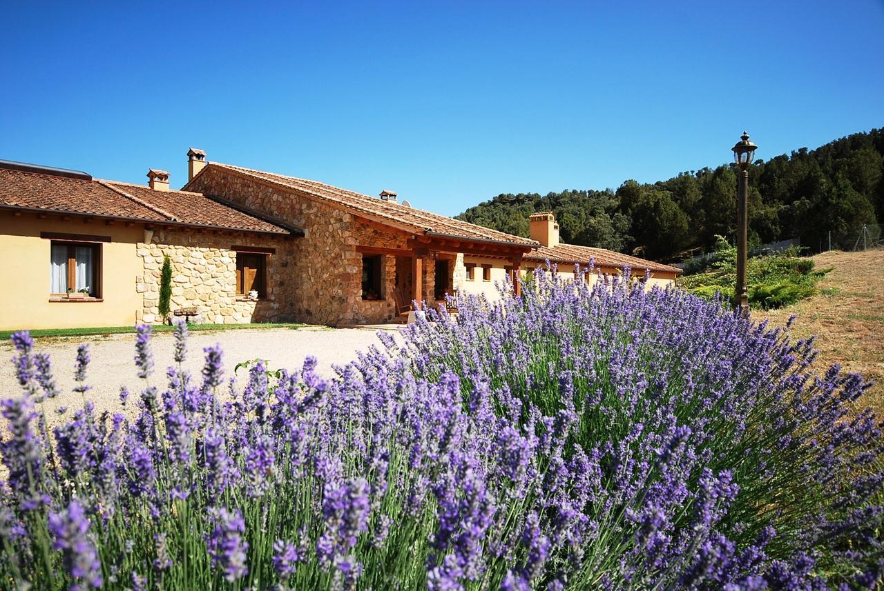 Hotel Del Verde Al Amarillo Penasrubias de Piron Buitenkant foto